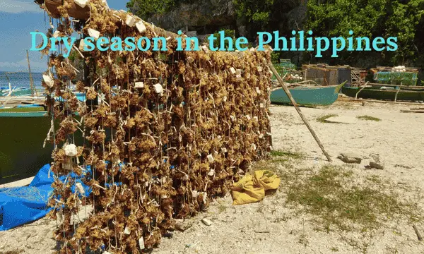 best time to visit the Philippines