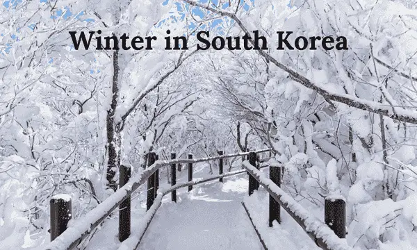 best time to visit South Korea 