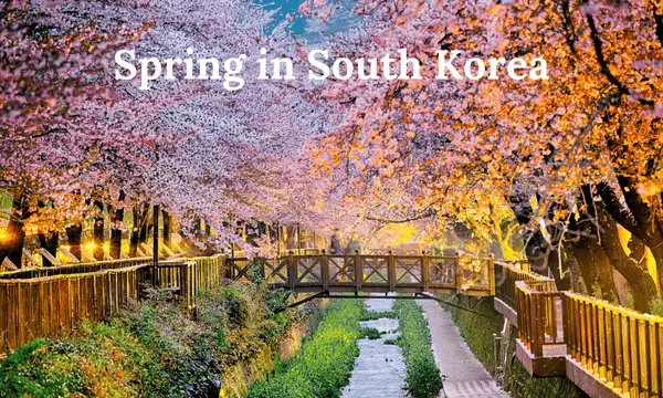 best time to visit South Korea