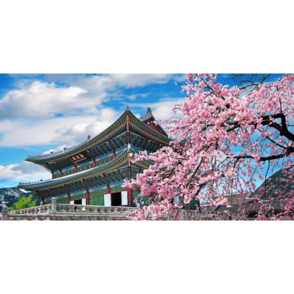 best time to visit south korea