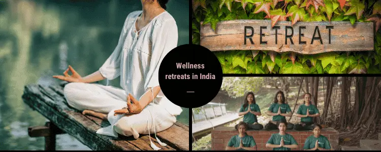 wellness retreats in India